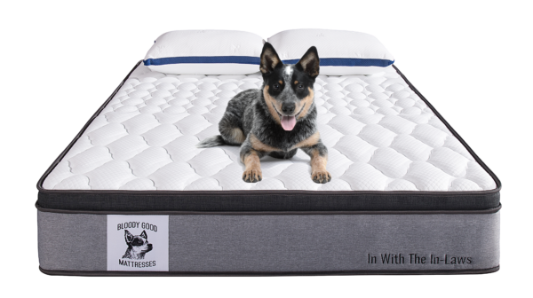 IN WITH THE IN-LAWS MATTRESS (Firm)