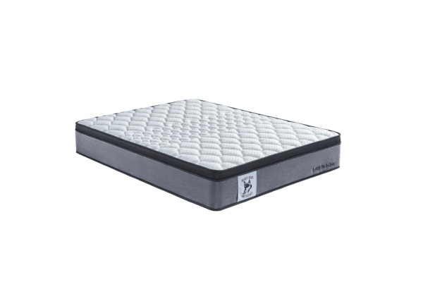 IN WITH THE IN-LAWS MATTRESS (Firm) - Image 2